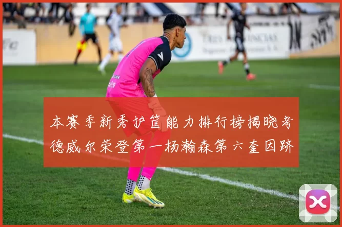 本赛季新秀护筐能力排行榜揭晓考德威尔荣登第一杨瀚森第六奎因跻身前十